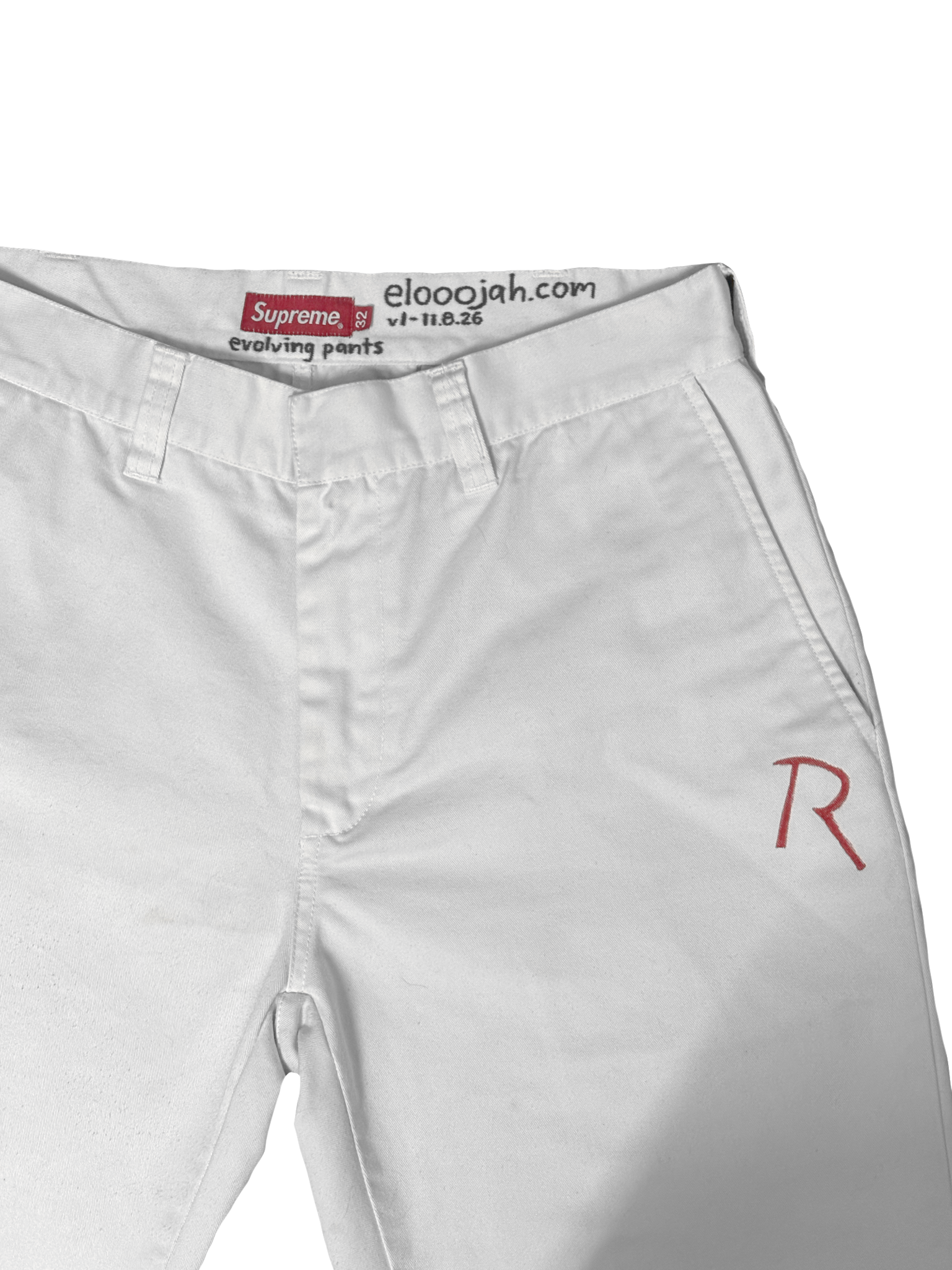 Supreme Second Skin Evolving Pants v1 (1/1)